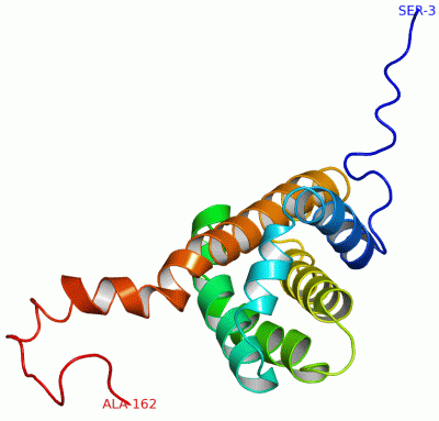 Image NMR Structure - manually