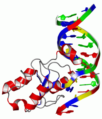 Image NMR Structure - manually