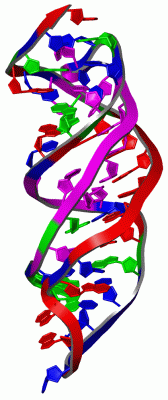 Image NMR Structure - manually