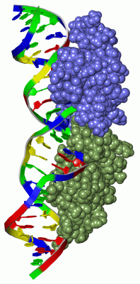 Image NMR Structure - manually