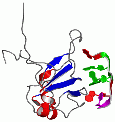 Image NMR Structure - manually