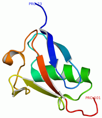 Image NMR Structure - manually