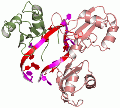 Image NMR Structure - manually