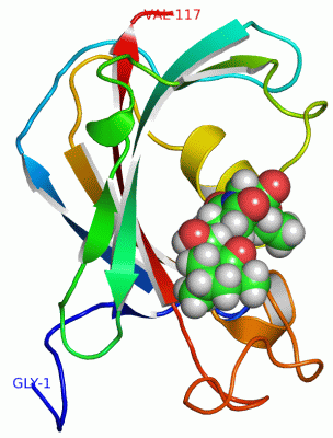 Image NMR Structure - manually