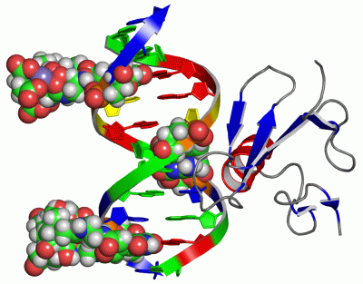 Image NMR Structure - manually