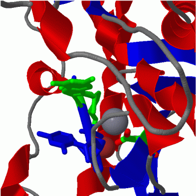 Image Asym./Biol. Unit - manually