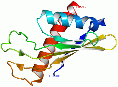 Image NMR Structure - manually