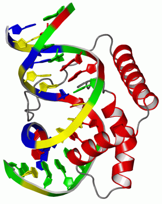 Image NMR Structure - manually