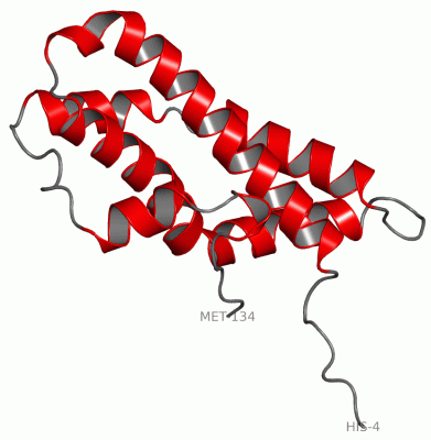 Image Asym./Biol. Unit - manually