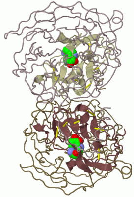 Image Biol.Unit 1 - manually