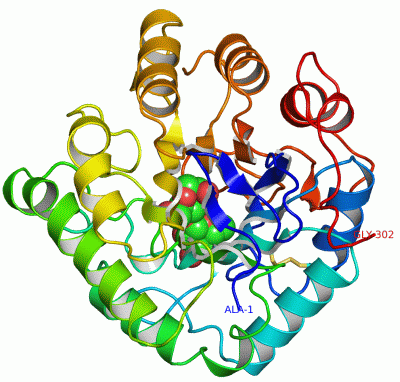 Image Asym./Biol. Unit - manually