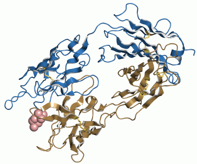 Image Asym./Biol. Unit - manually