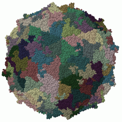 Image Biol.Unit 1 - manually