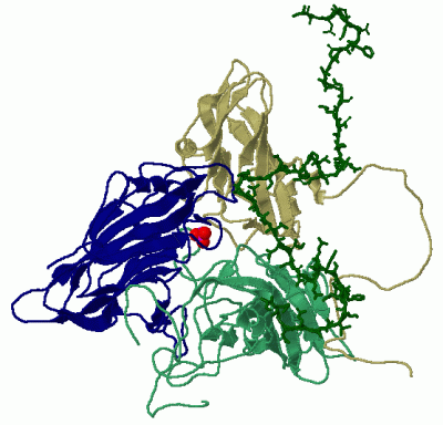 Image Asym.Unit - manually