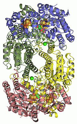 Image Asym./Biol. Unit - manually