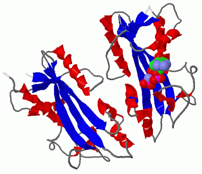 Image Asym./Biol. Unit - manually