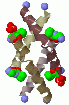 Image Biol.Unit 1 - manually