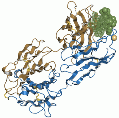 Image Asym./Biol. Unit - manually