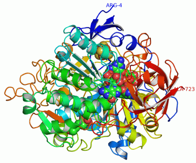 Image Asym./Biol. Unit - manually