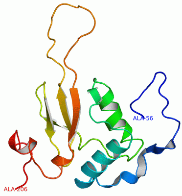 Image NMR Structure - manually