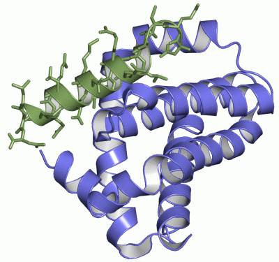 Image Asym./Biol. Unit - manually