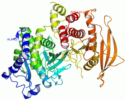 Image Asym./Biol. Unit - manually