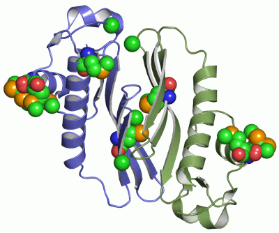 Image Asym./Biol. Unit - manually