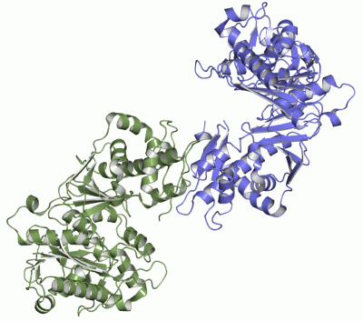Image Asym./Biol. Unit - manually