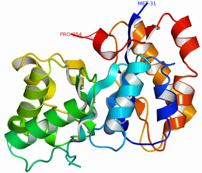 Image Asym./Biol. Unit - manually