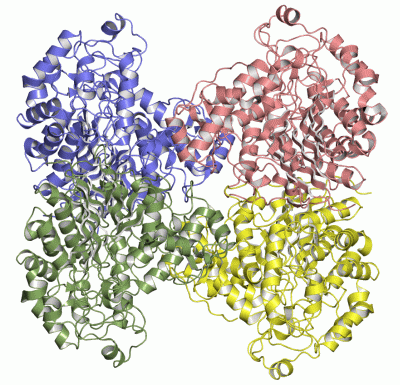 Image Asym./Biol. Unit - manually