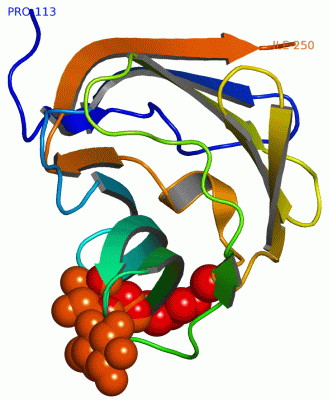 Image Asym./Biol. Unit - manually