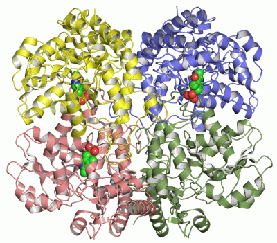 Image Asym./Biol. Unit - manually