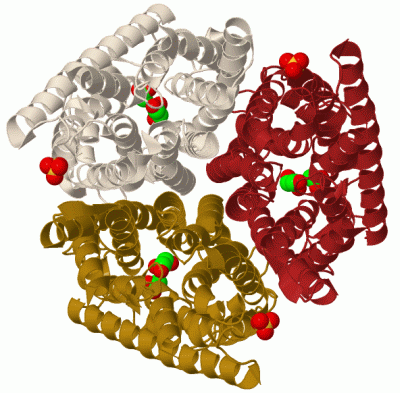 Image Biol.Unit 1 - manually