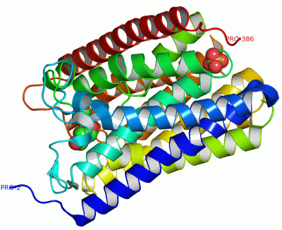 Image Asym.Unit - manually
