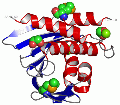 Image Asym./Biol. Unit - manually