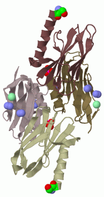 Image Biol.Unit 1 - manually