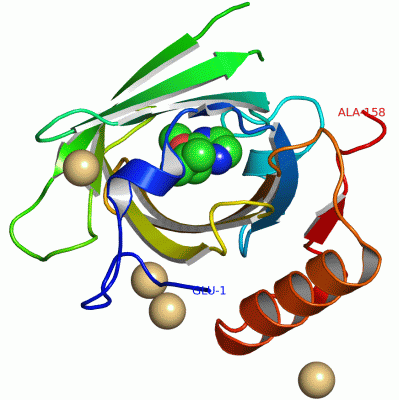 Image Asym./Biol. Unit - manually