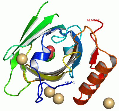 Image Asym./Biol. Unit - manually