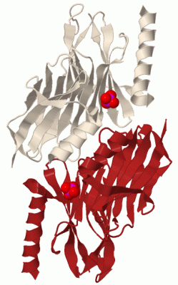 Image Biol.Unit 1 - manually