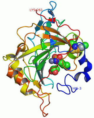 Image Asym./Biol. Unit - manually