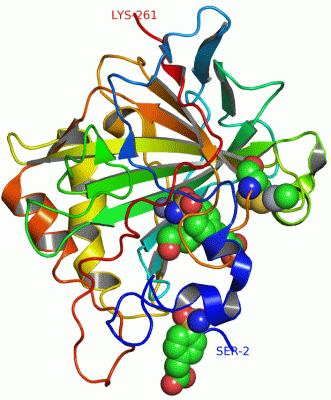 Image Asym./Biol. Unit - manually