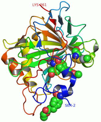 Image Asym./Biol. Unit - manually