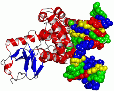 Image Asym./Biol. Unit - manually