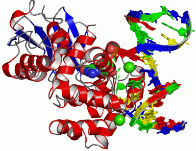 Image Asym./Biol. Unit - manually