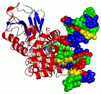 Image Asym./Biol. Unit - manually