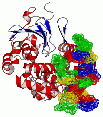 Image Asym./Biol. Unit - manually