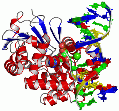 Image Asym./Biol. Unit - manually