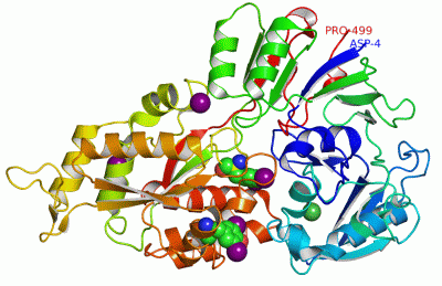 Image Asym./Biol. Unit - manually