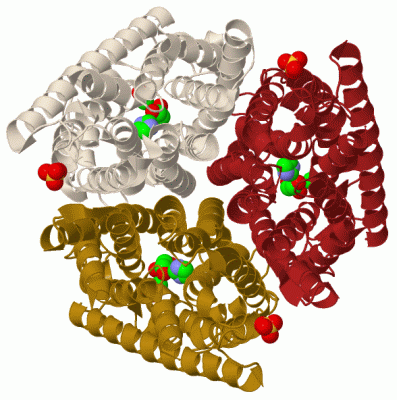 Image Biol.Unit 1 - manually