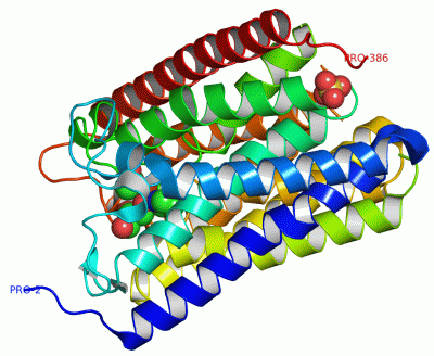 Image Asym.Unit - manually